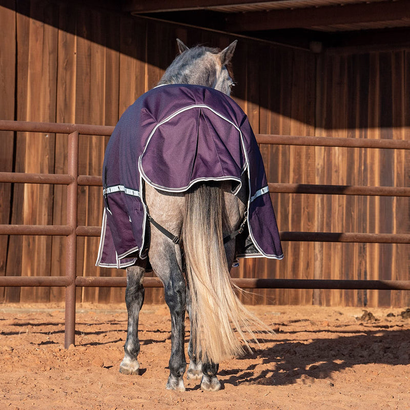 Classic Blackberry 10k Trainer Winter Horse Blanket