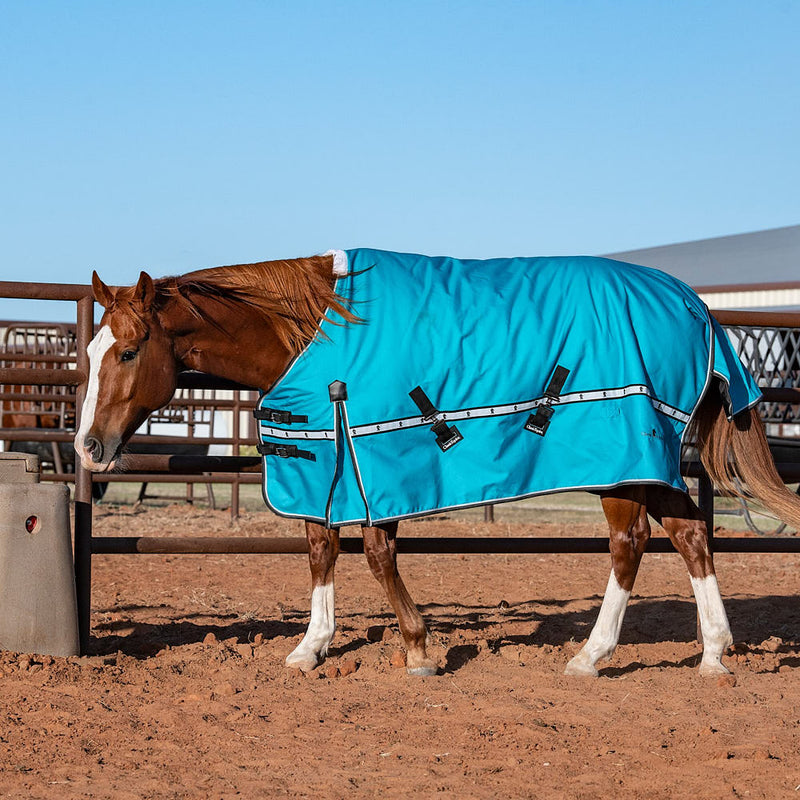 Classic Baltic Green 10k Trainer Winter Horse Blanket