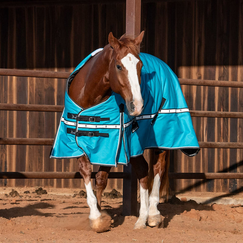 Classic Baltic Green 10k Trainer Winter Horse Blanket