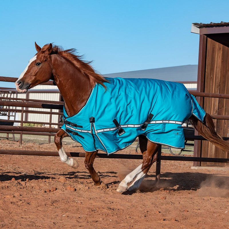 Classic Baltic Green 10k Trainer Winter Horse Blanket