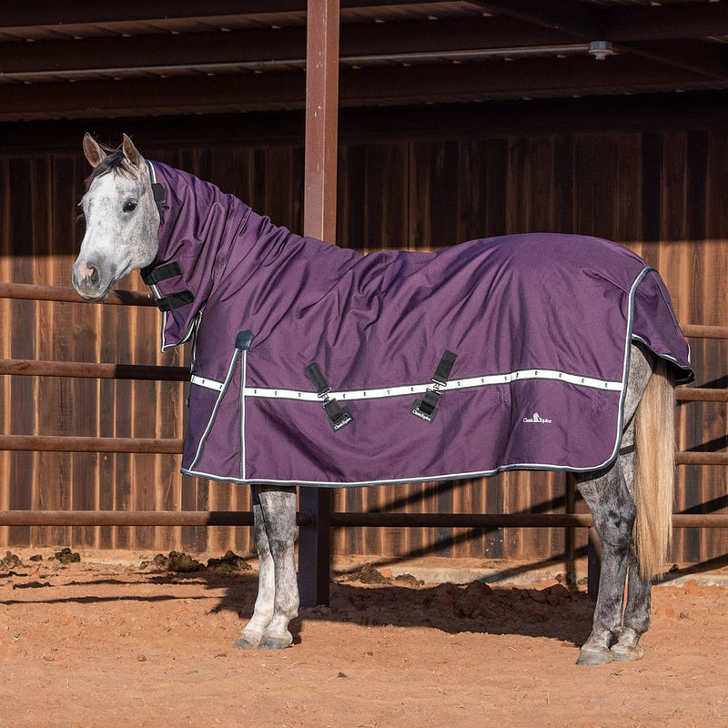 Classic Blackberry 10k Trainer Hooded Winter Horse Blanket