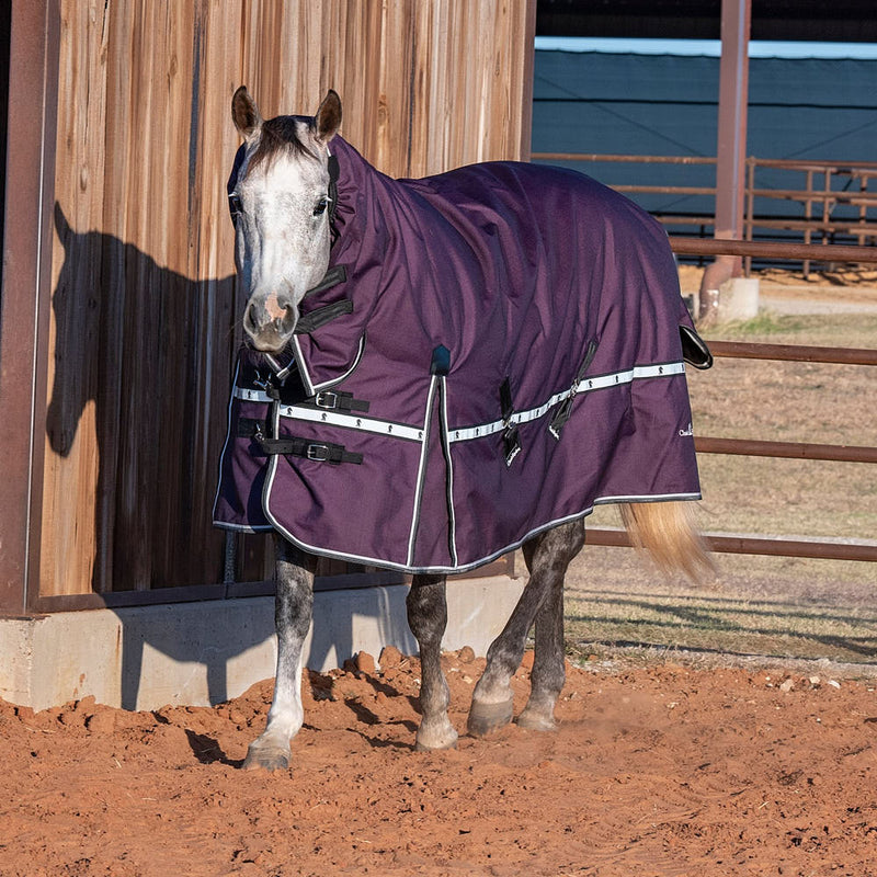 Classic Blackberry 10k Trainer Hooded Winter Horse Blanket