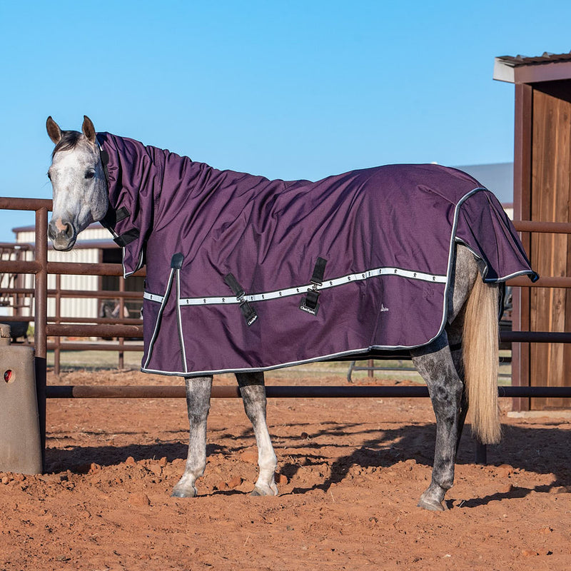 Classic Blackberry 10k Trainer Hooded Winter Horse Blanket