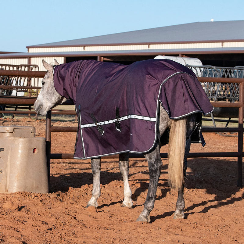 Classic Blackberry 10k Trainer Hooded Winter Horse Blanket