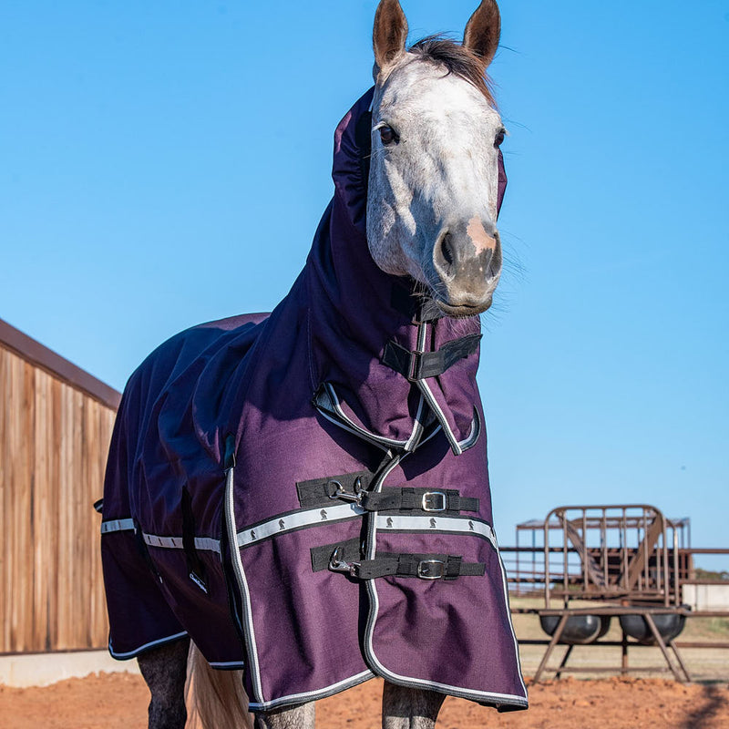 Classic Blackberry 10k Trainer Hooded Winter Horse Blanket