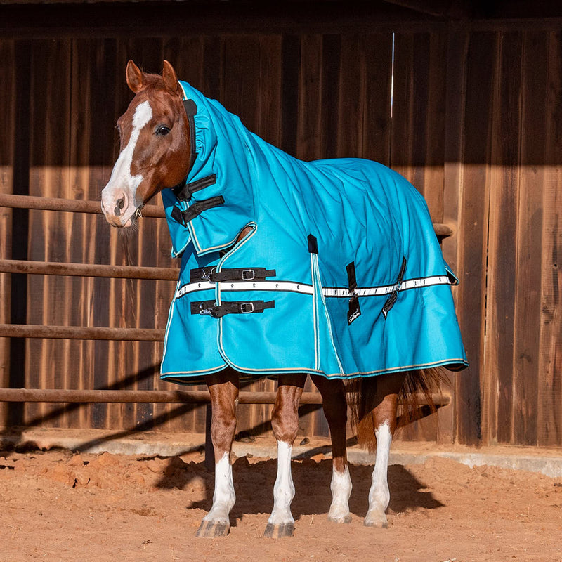 Classic Baltic Green 10k Trainer Hooded Winter Horse Blanket