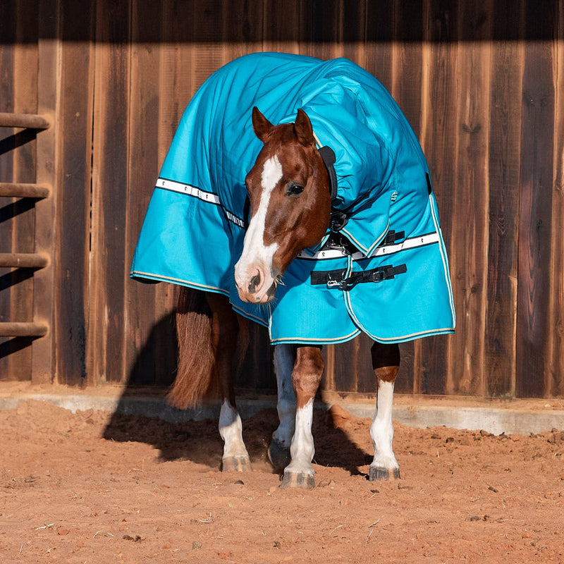 Classic Baltic Green 10k Trainer Hooded Winter Horse Blanket