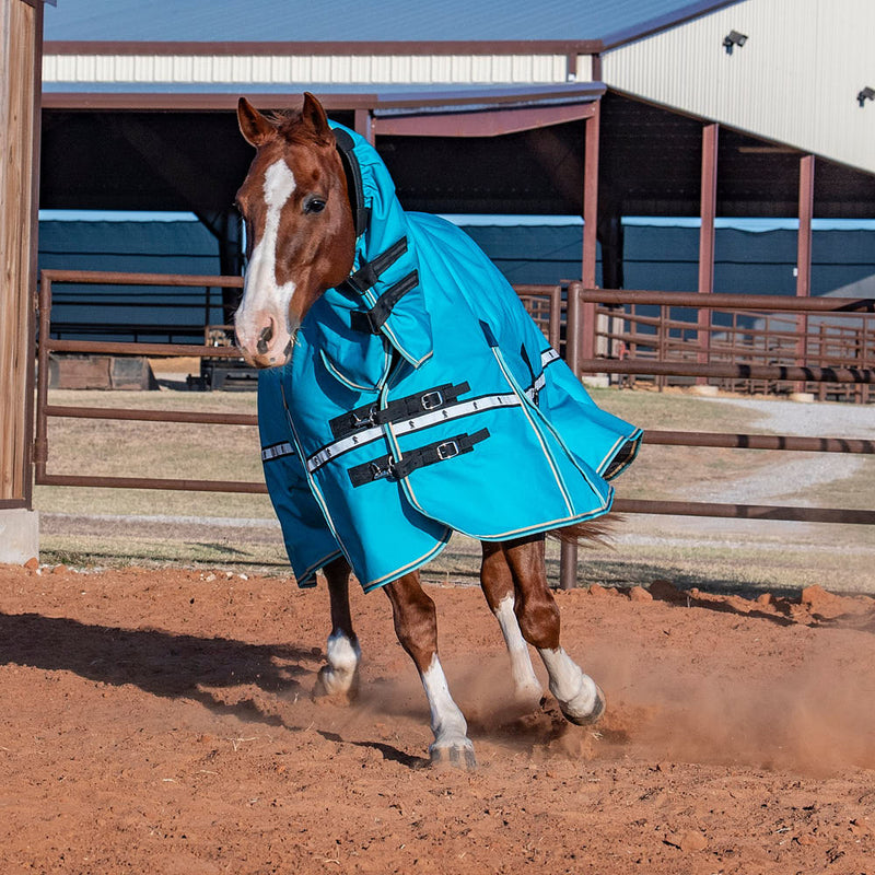 Classic Baltic Green 10k Trainer Hooded Winter Horse Blanket