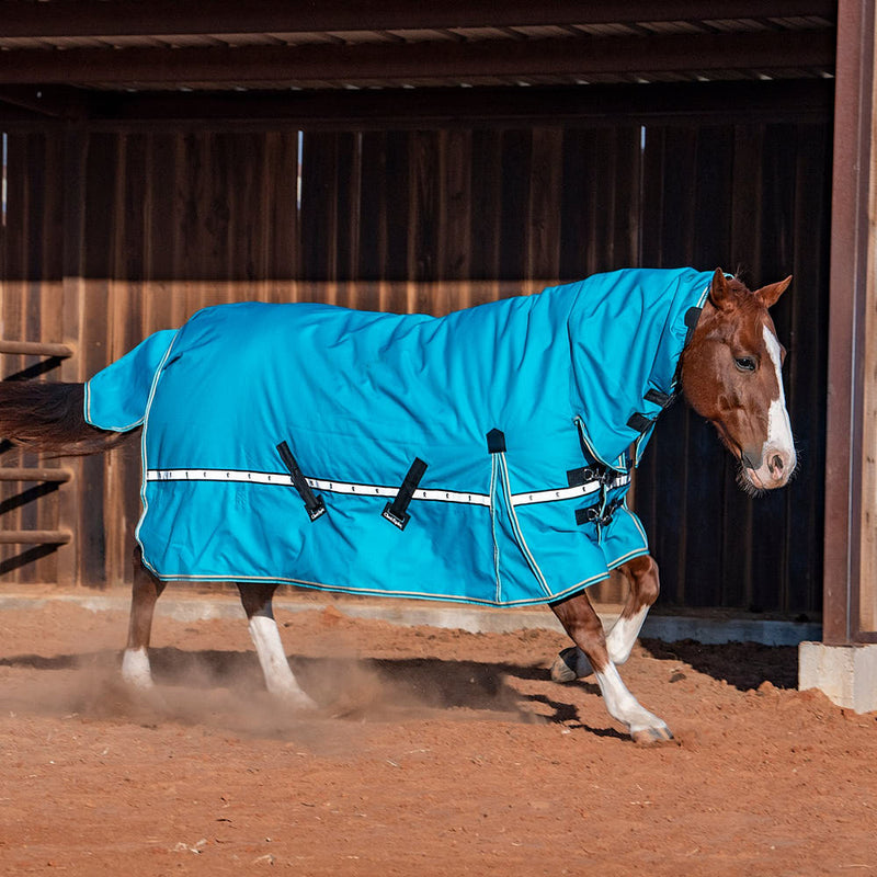 Classic Baltic Green 10k Trainer Hooded Winter Horse Blanket