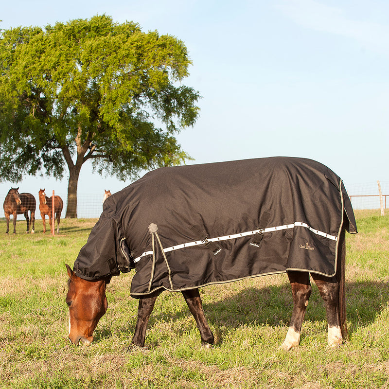 Classic Equine 5K Cross Trainer Horse Blanket with Attached Hood
