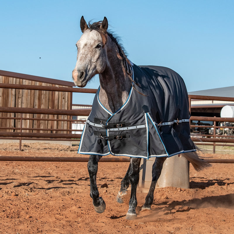 Classic Charcoal 5k Trainer Winter Horse Blanket