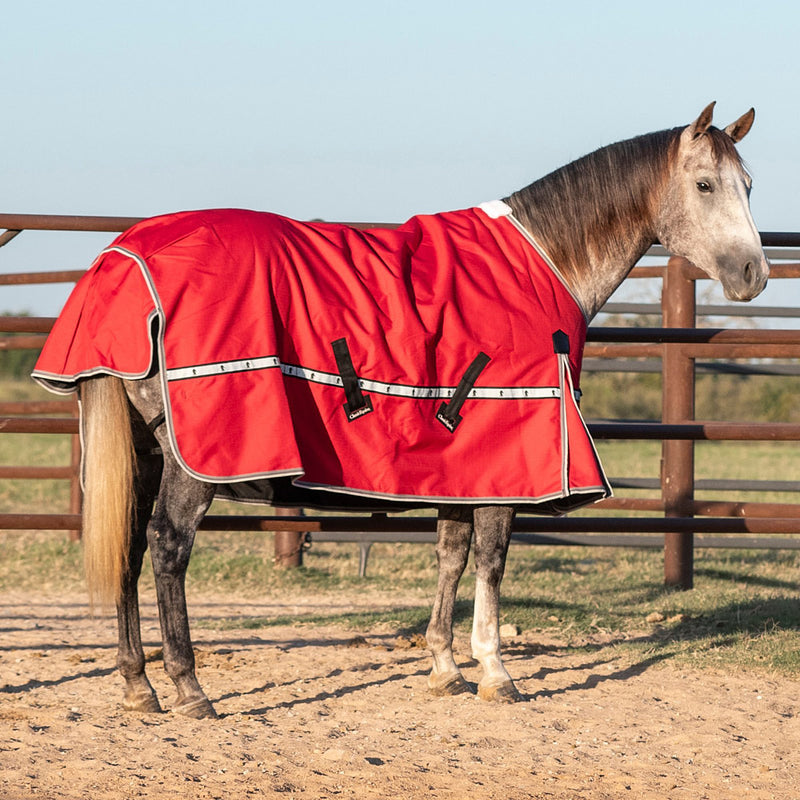 Classic Cardinal Red 5K Trainer Winter Horse Blanket
