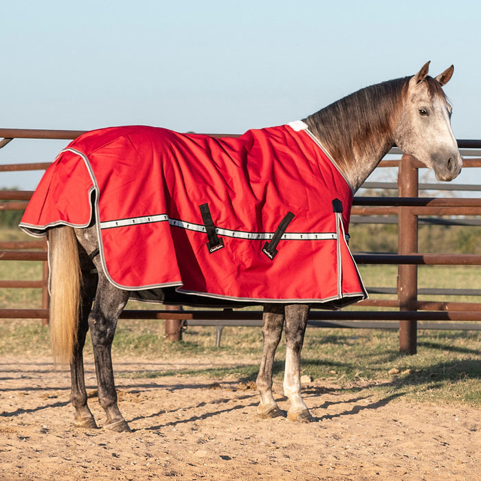 Classic Cardinal Red 5K Trainer Winter Horse Blanket