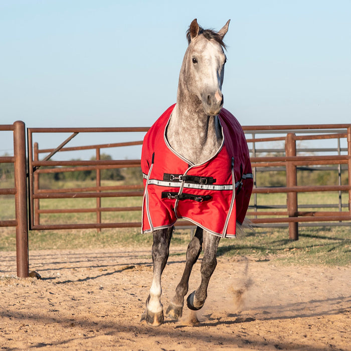 Classic Cardinal Red 5K Trainer Winter Horse Blanket