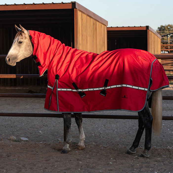 Classic Cardinal Red 5K Trainer Hooded Winter Blanket
