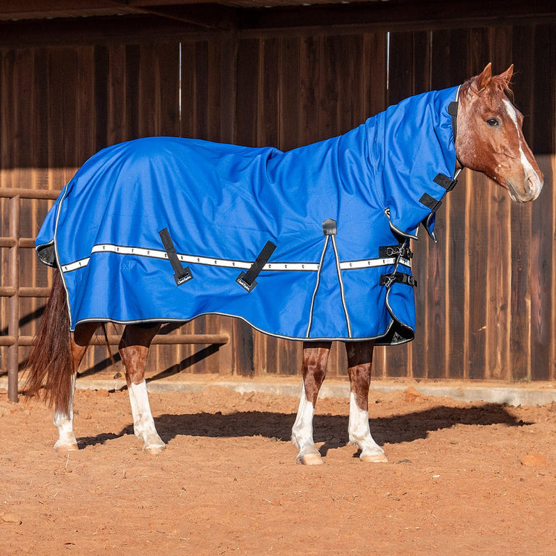 Classic Lapis Blue 5k Trainer Hooded Winter Horse Blanket