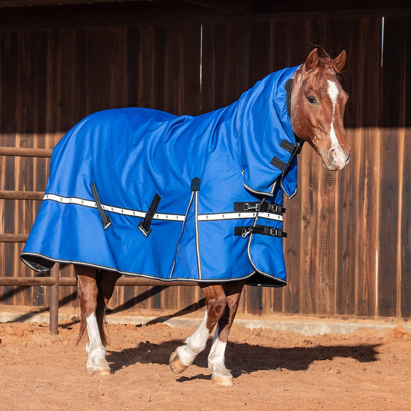 Classic Lapis Blue 5k Trainer Hooded Winter Horse Blanket