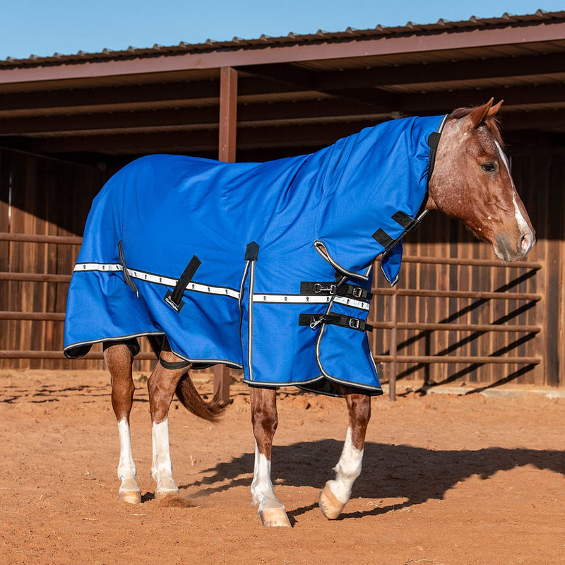 Classic Lapis Blue 5k Trainer Hooded Winter Horse Blanket
