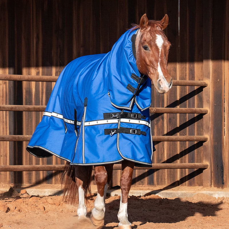 Classic Lapis Blue 5k Trainer Hooded Winter Horse Blanket