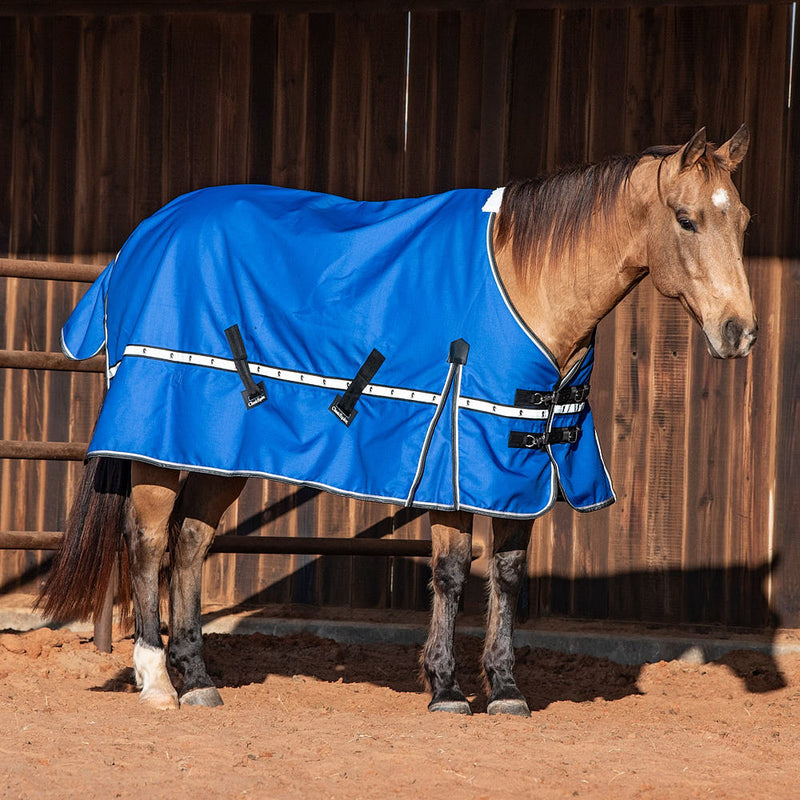 Classic Lapis Blue 5k Trainer Winter Horse Blanket