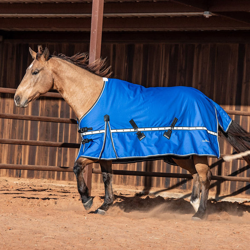 Classic Lapis Blue 5k Trainer Winter Horse Blanket
