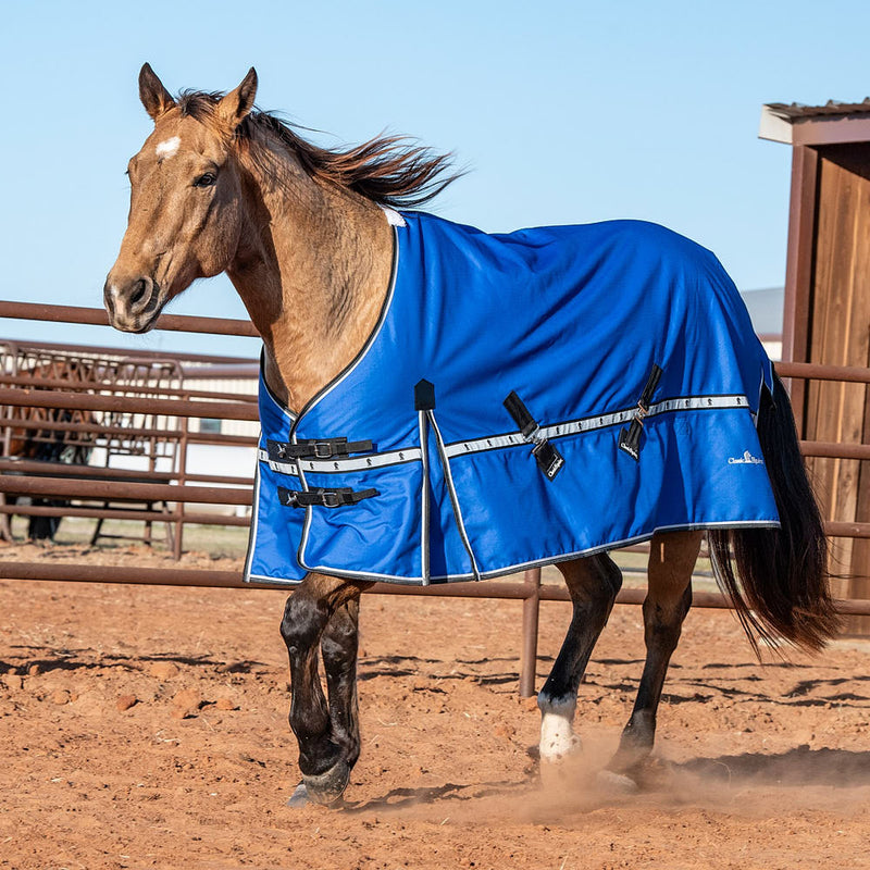Classic Lapis Blue 5k Trainer Winter Horse Blanket