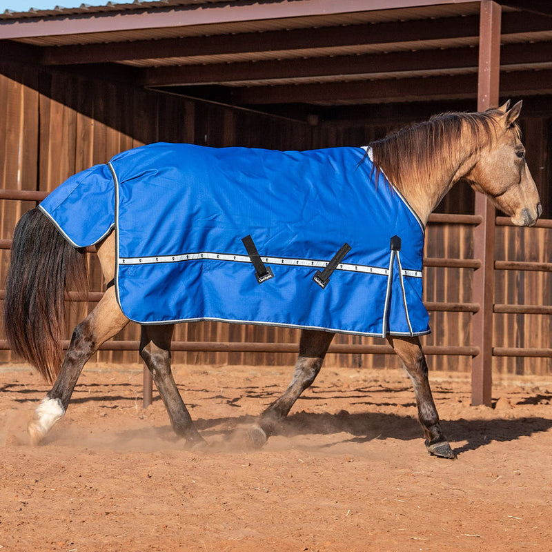 Classic Lapis Blue 5k Trainer Winter Horse Blanket