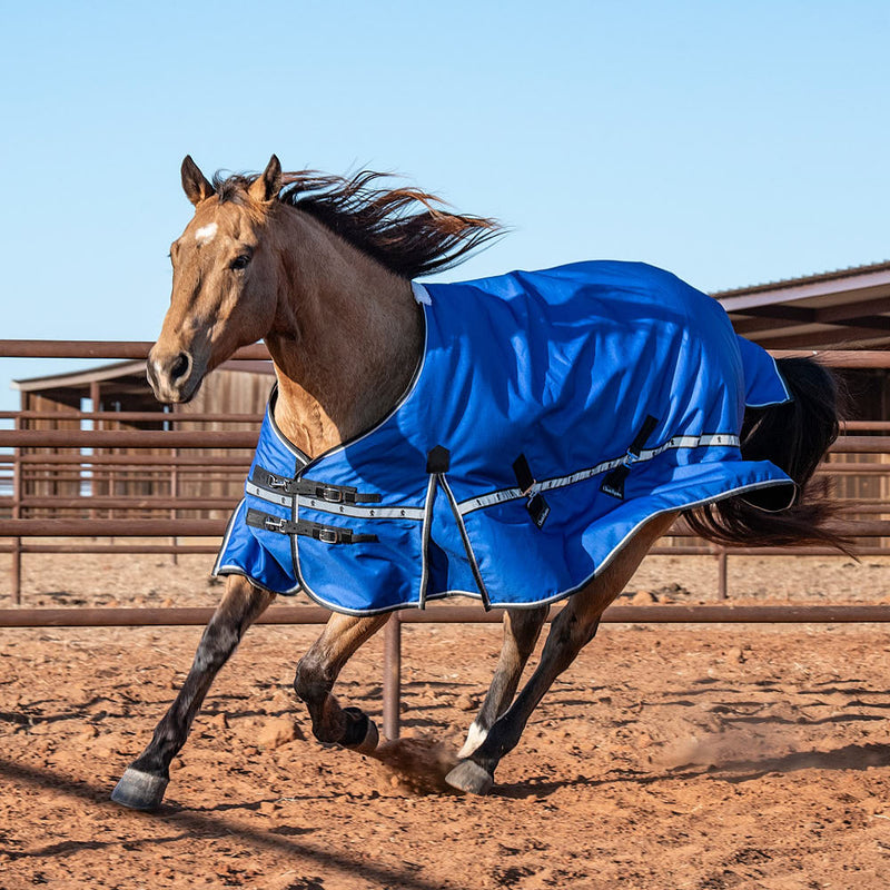 Classic Lapis Blue 5k Trainer Winter Horse Blanket