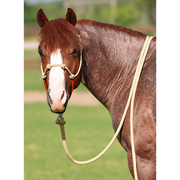 NRS Knotted Rope Halter With Attached Lead Rope