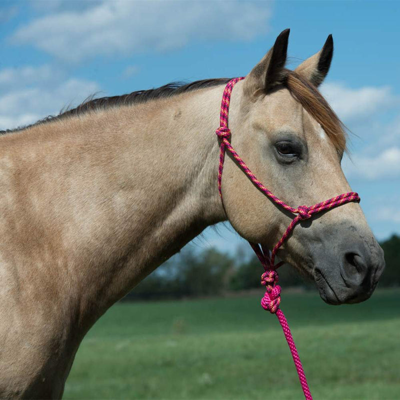 Weaver Leather Diamond Braided Rope Halter w/10ft Lead