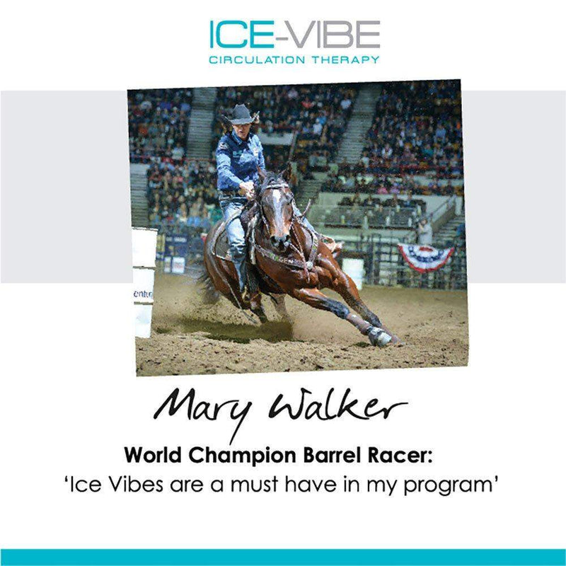 Horseware Ice-Vibe Hock Horse Boots