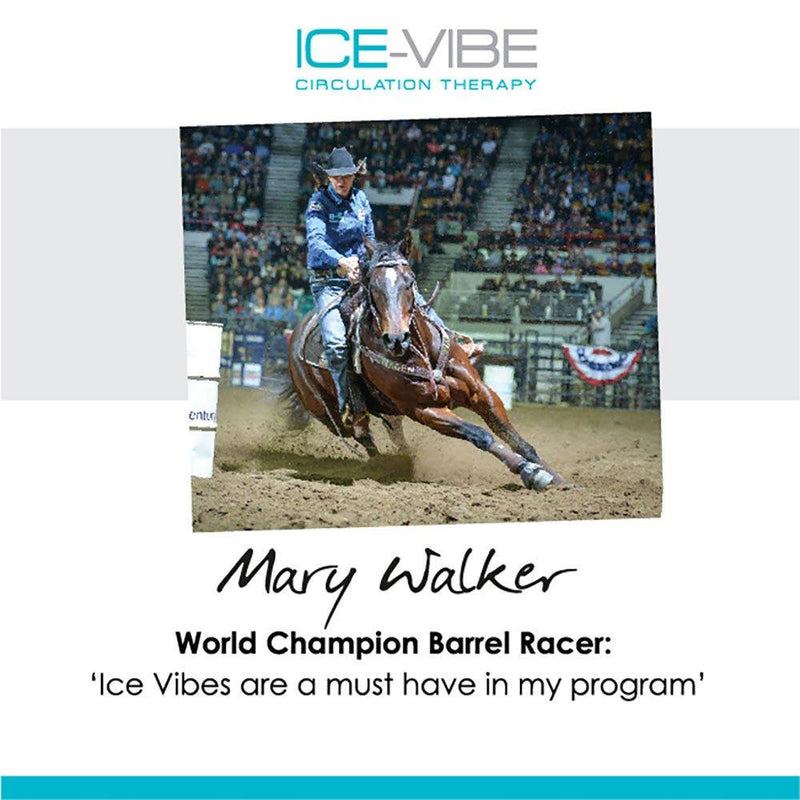 Horseware Ice-Vibe Ice Therapy Tendon Boots
