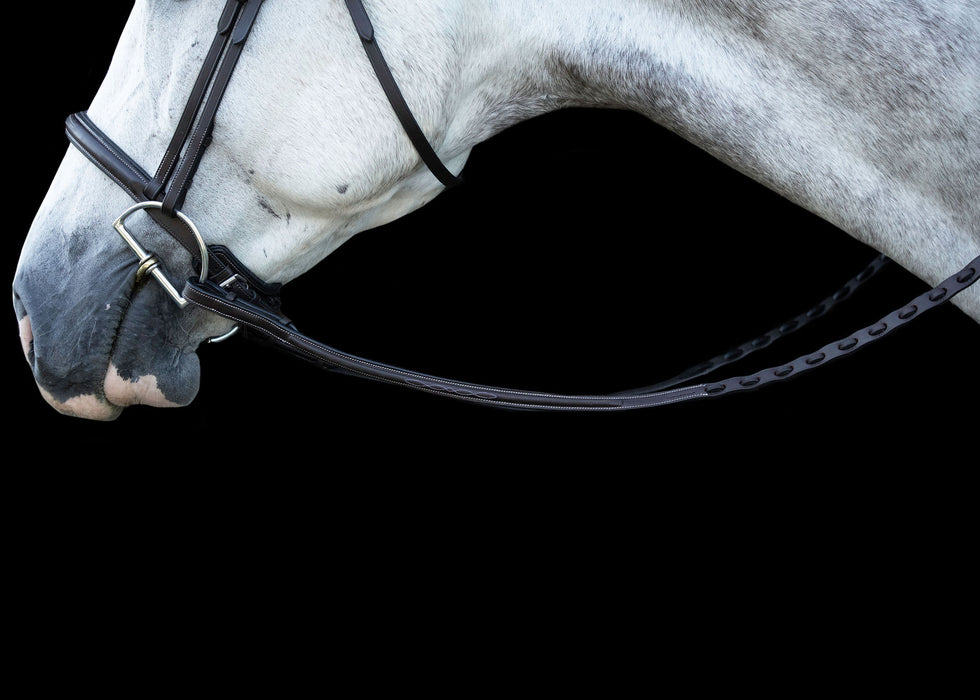 Ehi ProSeries Perfect Reins