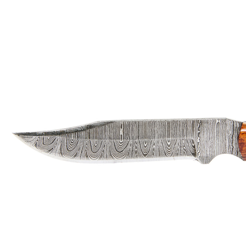 Western Fashion Circle SH Cutlery Damascus Natural Wood And Stag Horn Knife With Sheath