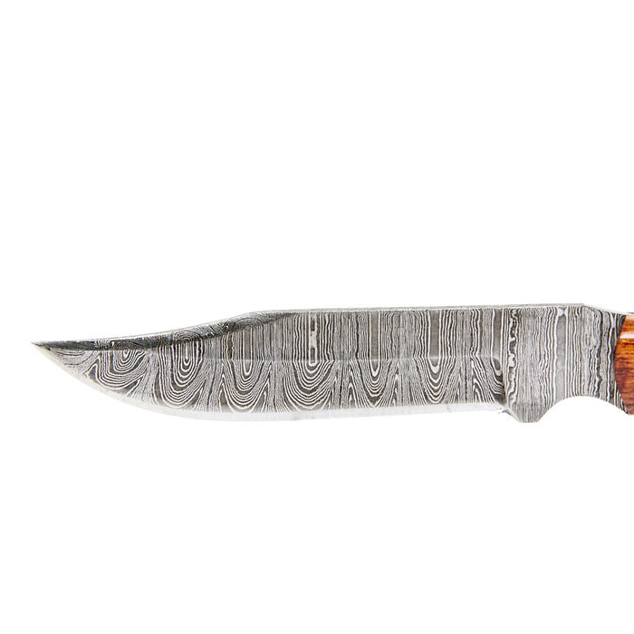 Western Fashion Circle SH Cutlery Damascus Natural Wood And Stag Horn Knife With Sheath