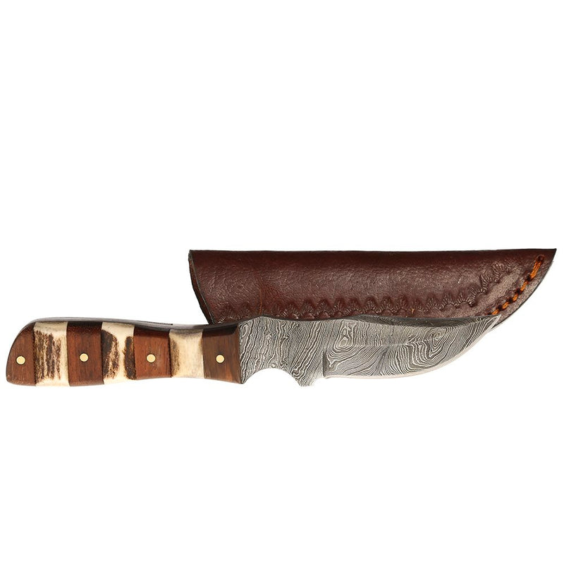 Western Fashion Damascus Mini Stag Wood Handle Knife w/Sheath