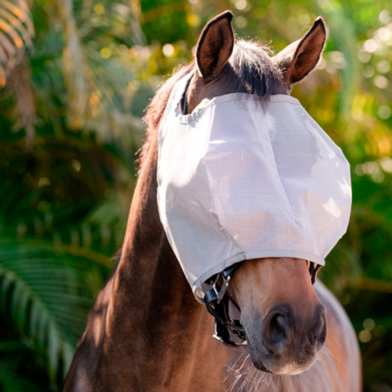 Horseware Ireland Amigo No Ears Horse Fly Mask