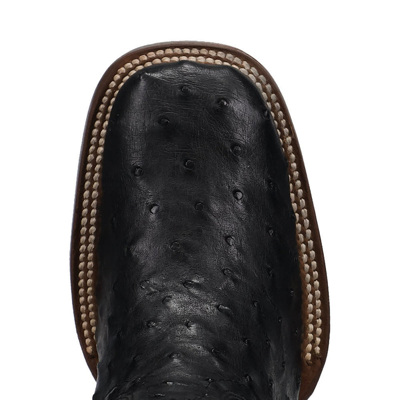 Dan Post Women's Reese Black Full Quill Ostrich Vamp 12in Black Top Boot