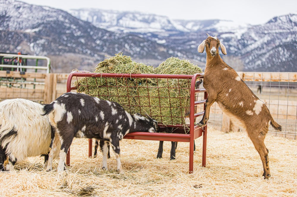 Tarter Duratough Small Animal Feeder