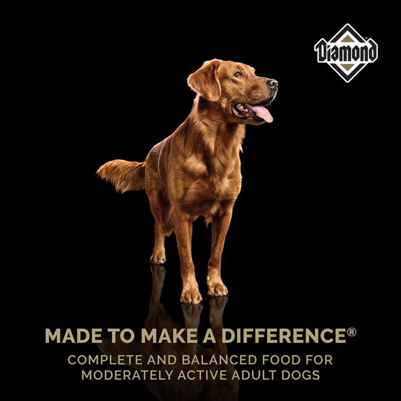 Diamond Pet-Nws Maintenance 40lb