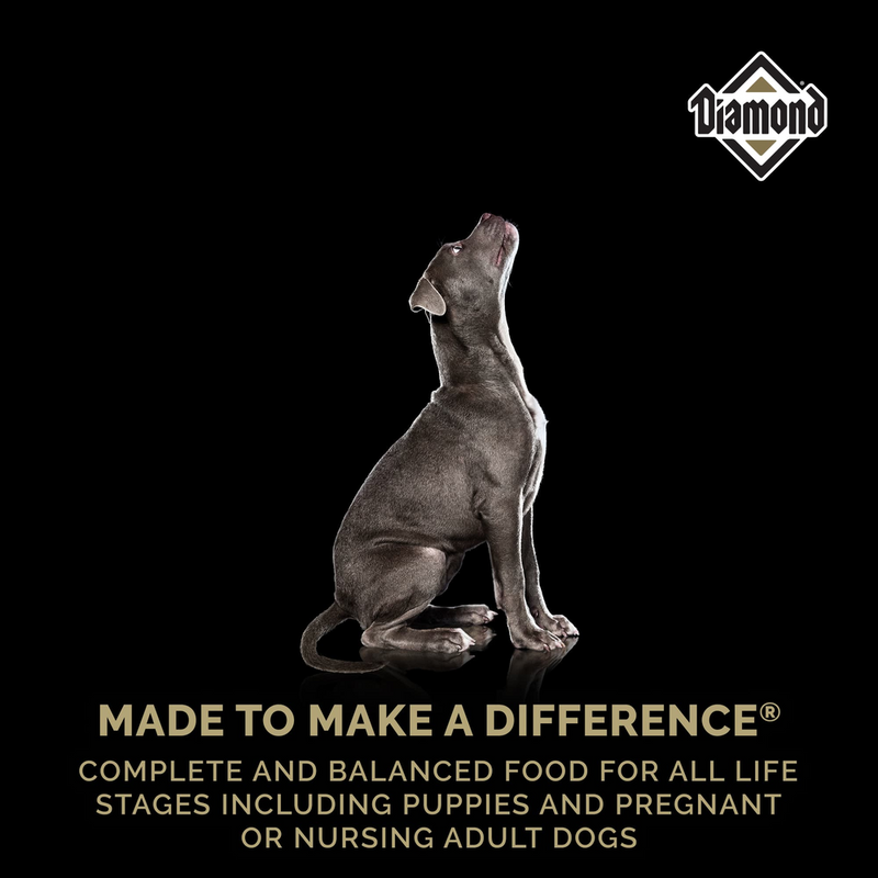 Diamond Pet-Nws Puppy 20LB