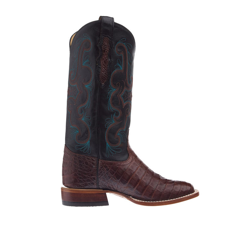 Tony Lama Women's Chasi Brown Caiman Vamp 13in Midnight Cowhide Top