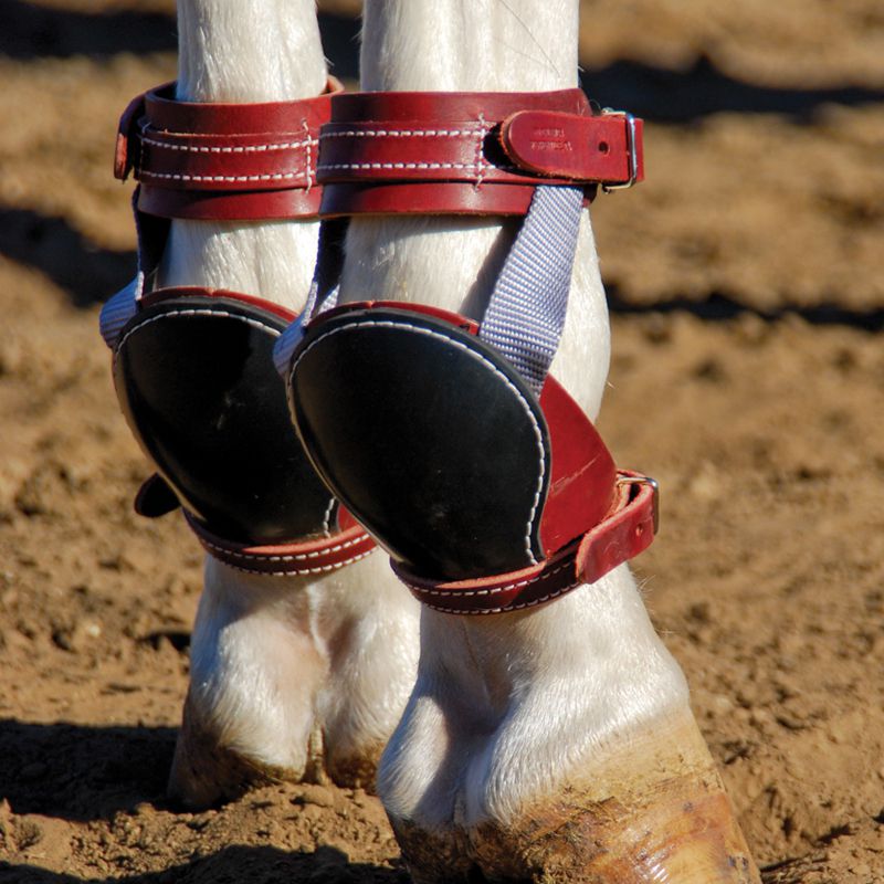 NRS Ed Galemba Roper Skid Horse Boots