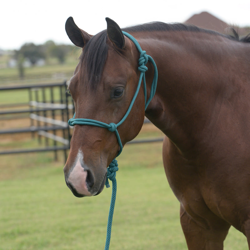 Professionals Choice Equissential Rope Halter with 8ft Attached Lead Rope