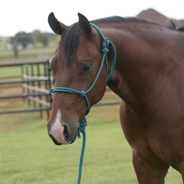 Professionals Choice Equissential Rope Halter with 8ft Attached Lead Rope