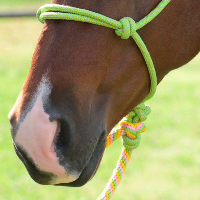 Professionals Choice Equissential Rope Halter with 8ft Attached Lead Rope