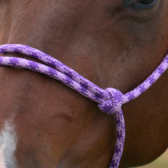 Professionals Choice Equissential Rope Halter with 8ft Attached Lead Rope