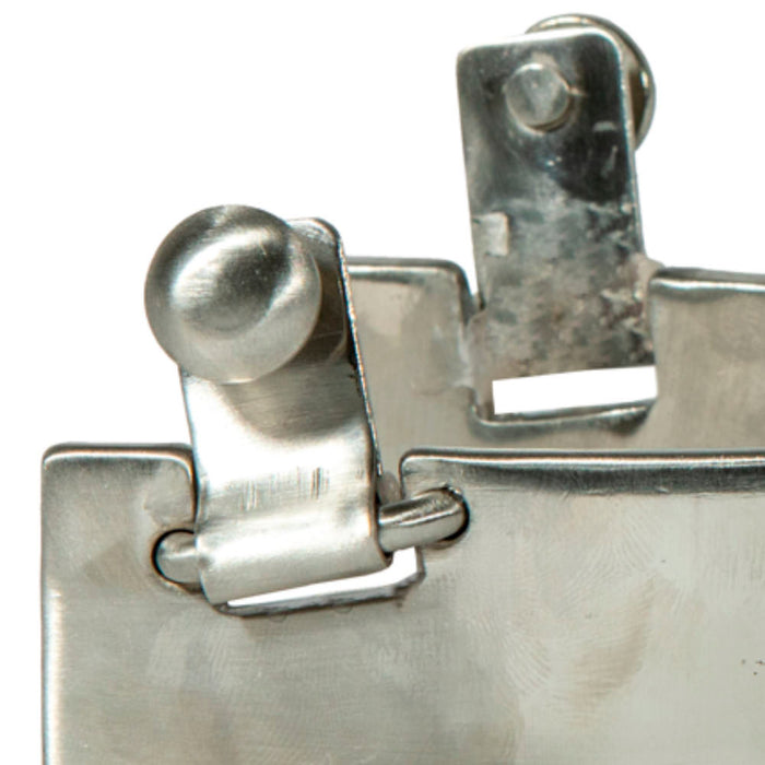 Professionals Choice Equisential 6 Point Rowel Spur