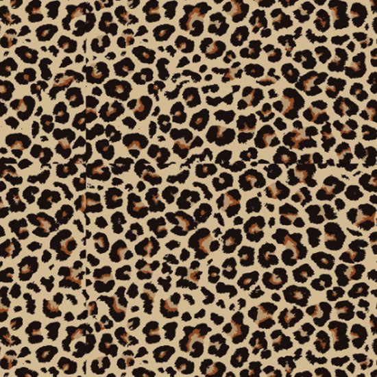 Professionals Choice Professional's Cheetah Mini Pony Equisential 600D Winter Blanket