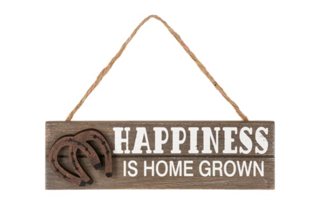 Ganz Assorted Hanging Western Signs